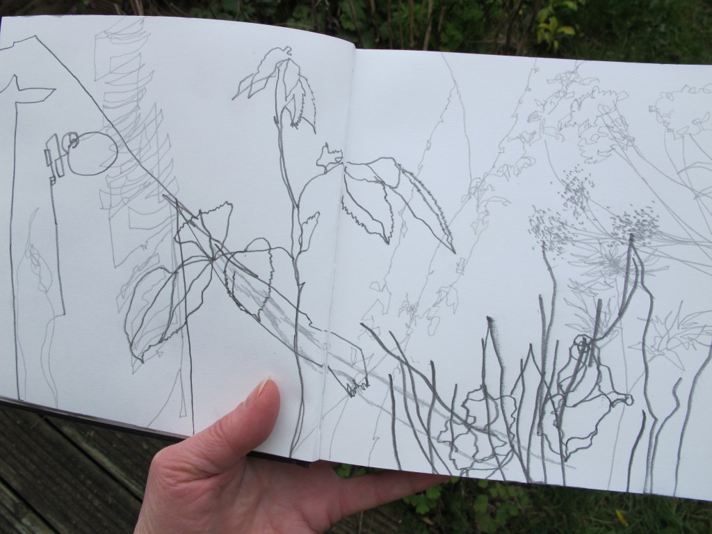 Taking a line for a&nbsp;walk