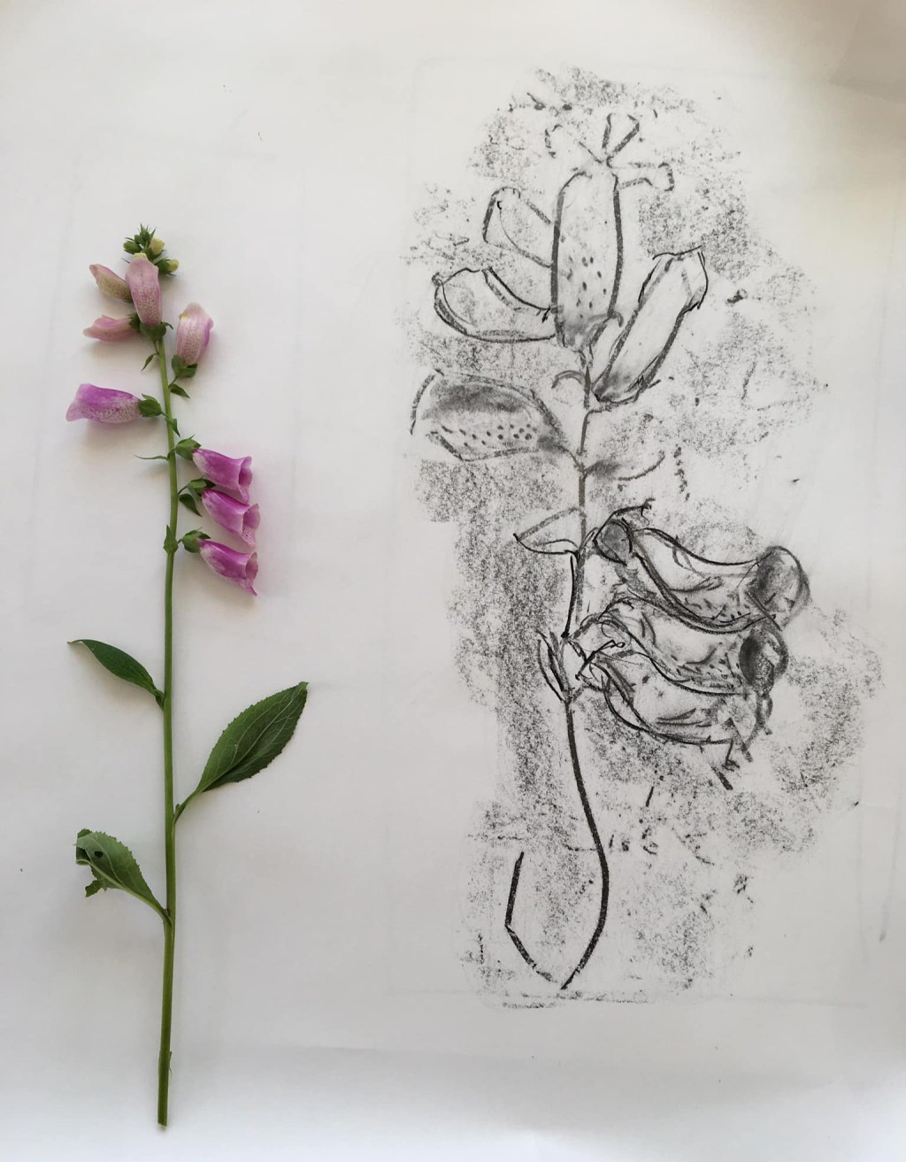 Not being ‘precious’