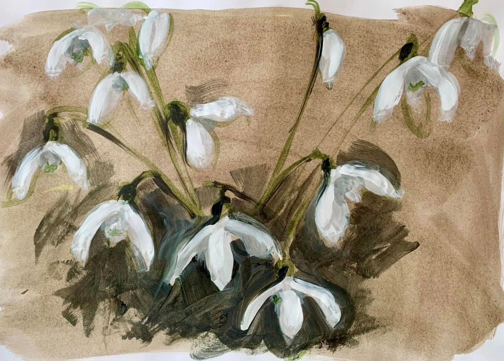 New ways of observing: Snowdrops and&nbsp;Camellias