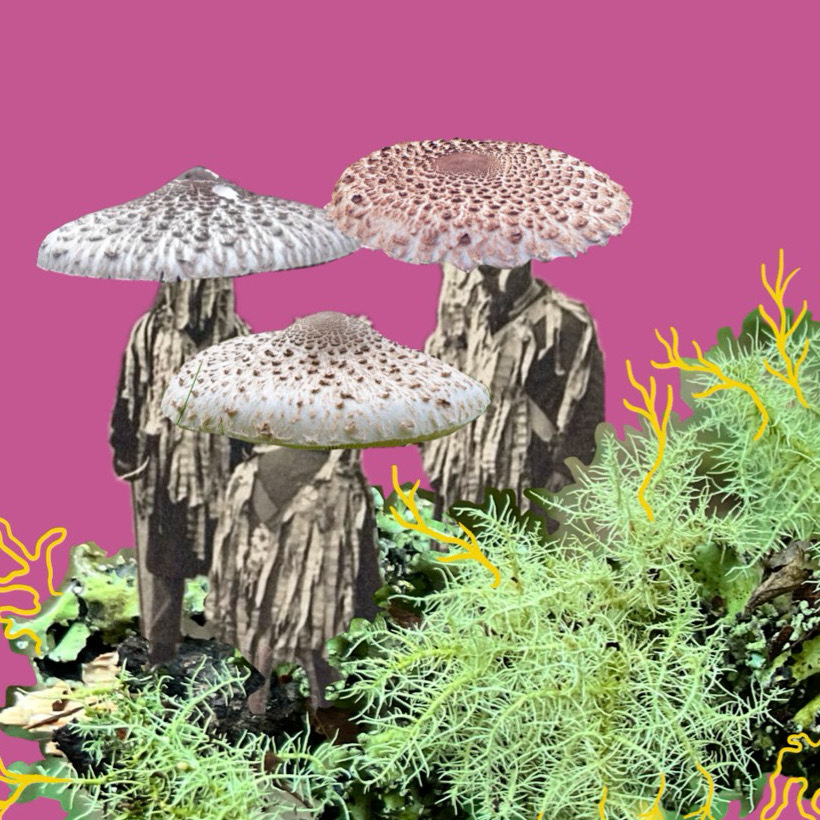 Winter Sketchbooking