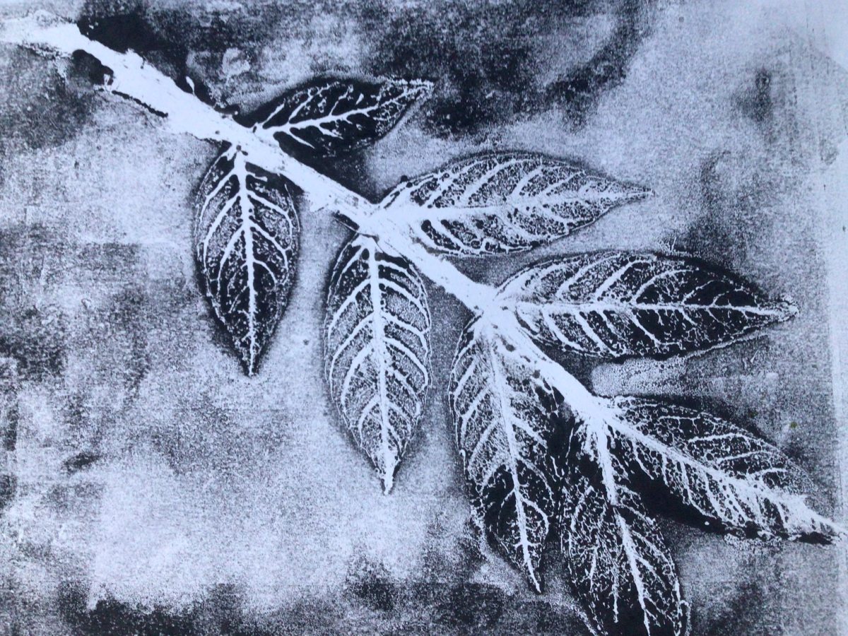 Line, tone and&nbsp;shadow