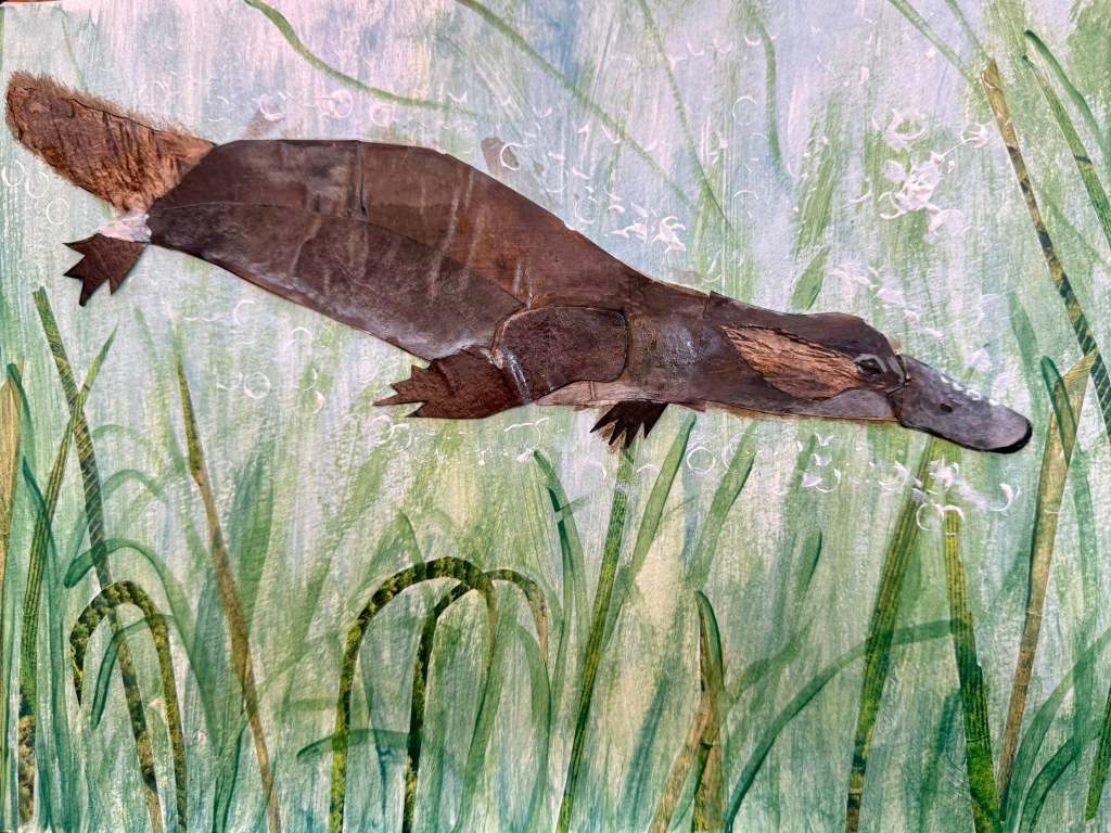 Express & Illustrate